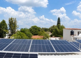 mitigacion-de-co2-y-huella-de-carbono-paneles-solares - APsystems LATAM - APsystems LATAM